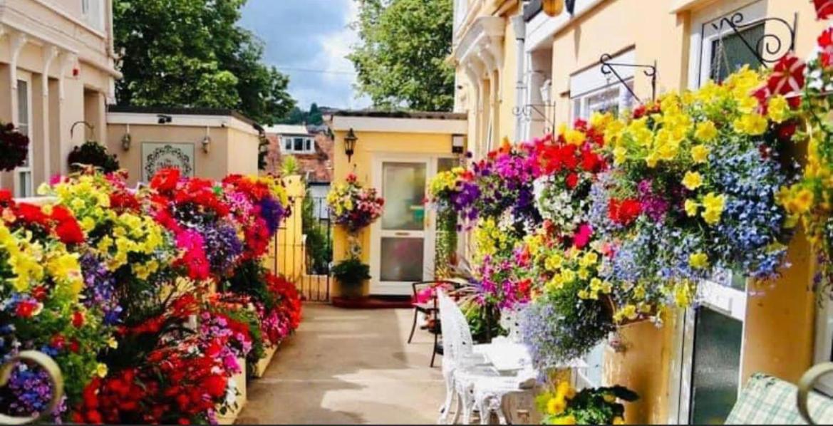 Crowndale Torquay - Exclusively For Adults Bed & Breakfast Dış mekan fotoğraf