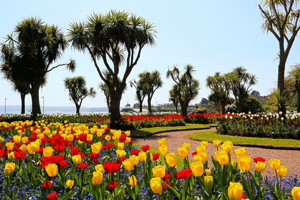 Crowndale Torquay - Exclusively For Adults Bed & Breakfast Dış mekan fotoğraf