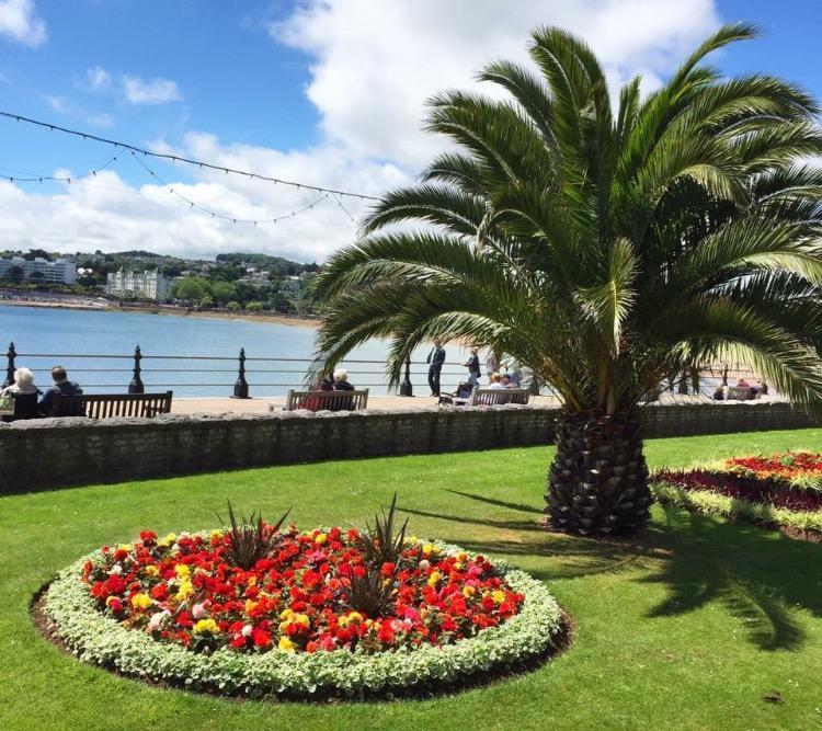 Crowndale Torquay - Exclusively For Adults Bed & Breakfast Dış mekan fotoğraf