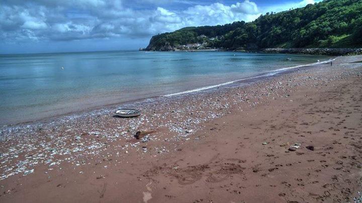 Crowndale Torquay - Exclusively For Adults Bed & Breakfast Dış mekan fotoğraf