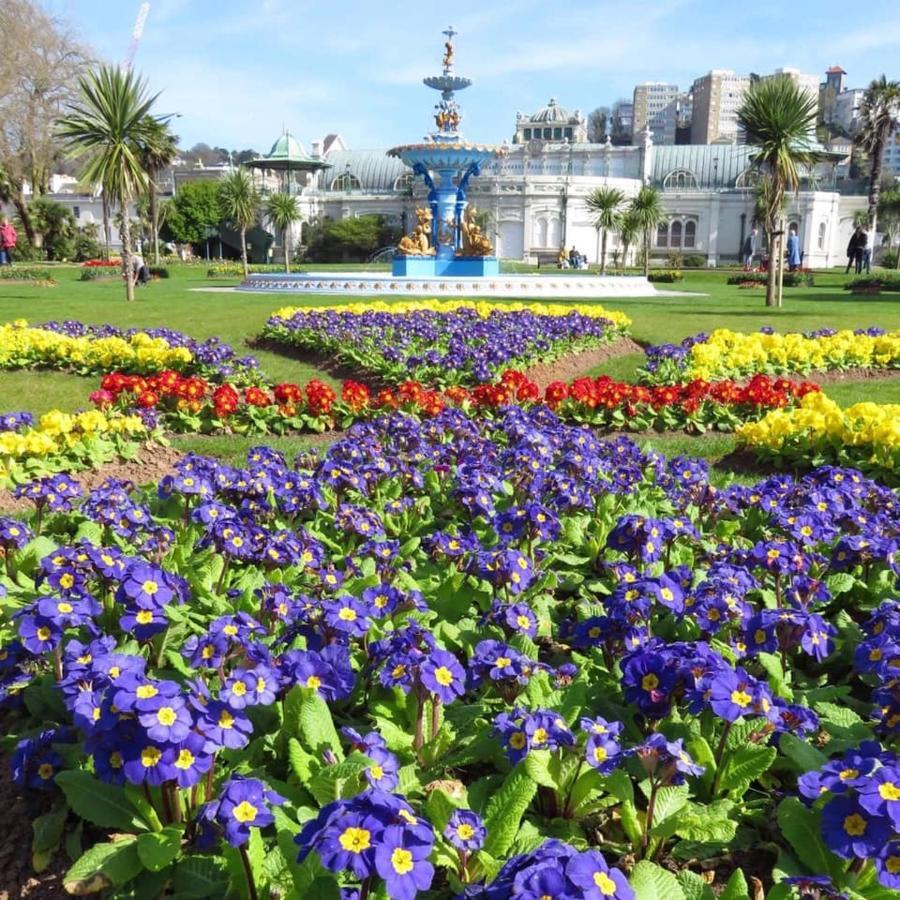 Crowndale Torquay - Exclusively For Adults Bed & Breakfast Dış mekan fotoğraf