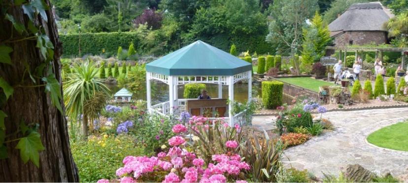 Crowndale Torquay - Exclusively For Adults Bed & Breakfast Dış mekan fotoğraf