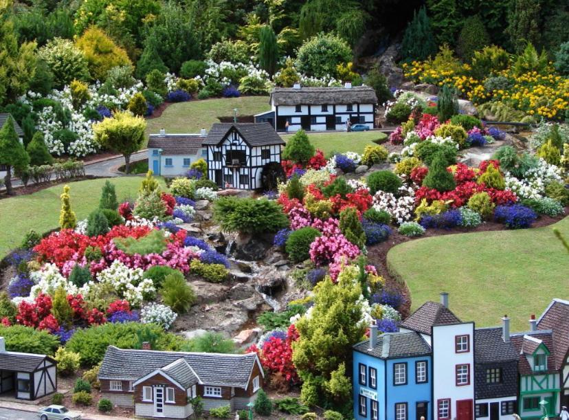 Crowndale Torquay - Exclusively For Adults Bed & Breakfast Dış mekan fotoğraf