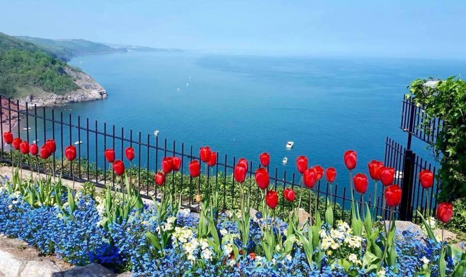 Crowndale Torquay - Exclusively For Adults Bed & Breakfast Dış mekan fotoğraf