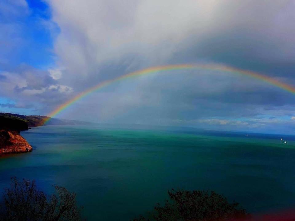 Crowndale Torquay - Exclusively For Adults Bed & Breakfast Dış mekan fotoğraf