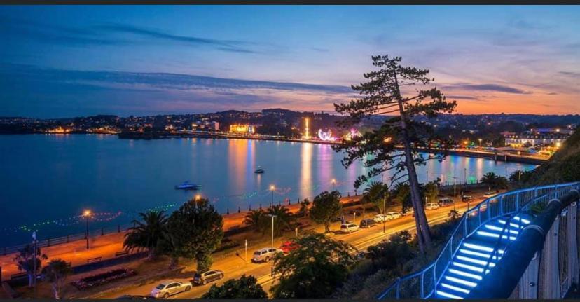 Crowndale Torquay - Exclusively For Adults Bed & Breakfast Dış mekan fotoğraf