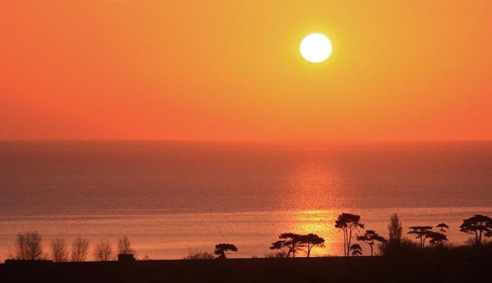 Crowndale Torquay - Exclusively For Adults Bed & Breakfast Dış mekan fotoğraf